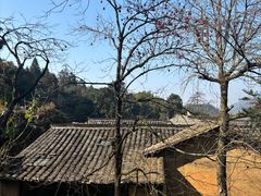 -杨家堂村