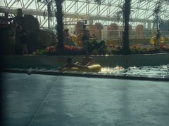 -天山海世界·米立方