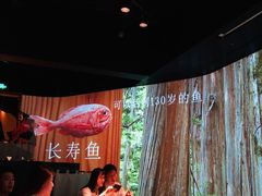 -地球美食剧场