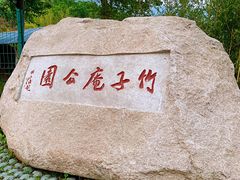 景点-竹子庵公园