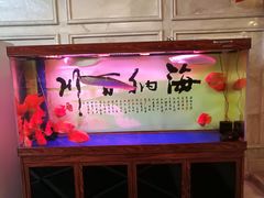 -舞指仙境足浴(紫荆广场店)