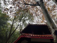 -绵阳人民公园(涪城区)