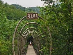 -欢乐松鼠谷