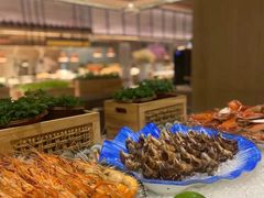 -深圳佳兆业万豪酒店-金沙全日餐厅