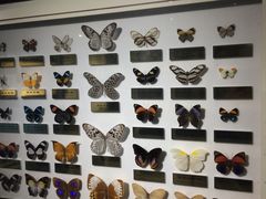 -上海昆虫博物馆