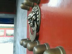 -武清南湖绿博园