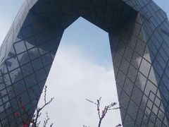 -中央广播电视总台(光华路办公区)