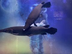 -常州海昌海洋探索馆