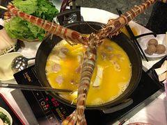 -鲜入围煮花胶鸡海鲜火锅