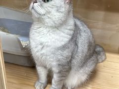 -艺味深尝(云锦路店)