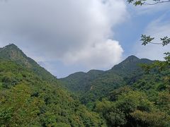 -南丹山森林王国