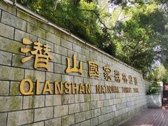 -潜山国家森林公园