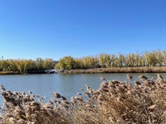 -大兴滨河森林公园