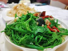 上汤南瓜苗-陈记粤湛鸡饭店