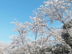 -幕燕滨江·燕子矶公园