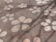 -北京凤凰岭