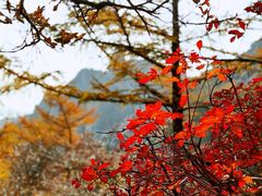-崂山巨峰游览区