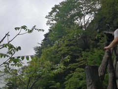 -王顺山国家森林公园