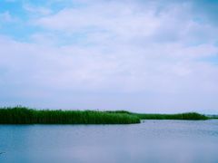 -苏州太湖湖滨国家湿地公园
