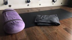 -广州萨谛艾扬格瑜伽中心