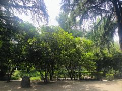 -西安市纺织公园