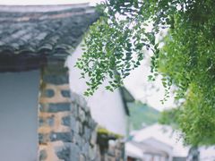 -鹿亭中村