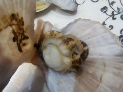 -福泉海码头(六里山店)