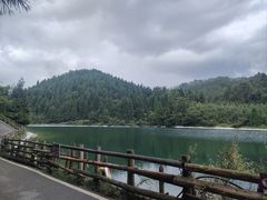 -武陵山森林公园