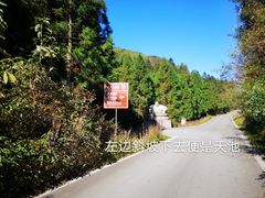 -武陵山森林公园