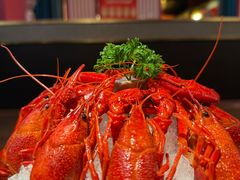 -京悦南门涮羊肉·羊蝎子火锅(田林路店)