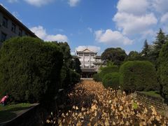 -四川大学(华西校区)