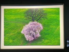 -罗红摄影艺术馆