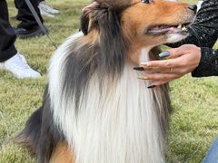 -上海神旺大酒店