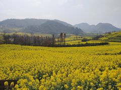 -牛街螺丝田