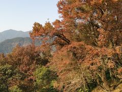 -广州市石门国家森林公园