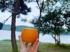 -南京市无想山景区
