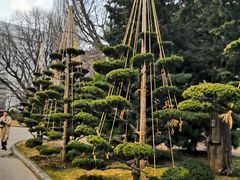 -北海道厅旧本厅舍(旧本庁舎)