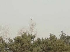 -龙熙温泉高尔夫俱乐部