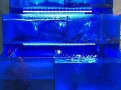水产区-韩妹鱼庄·泸定老字号(泸定店)