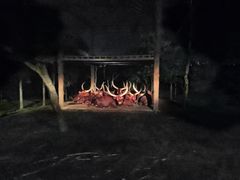 -清迈夜间动物园