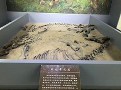 -呼伦贝尔民族博物馆