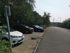-云岗森林公园