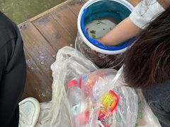 -重庆彩云湖湿地公园