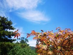 -香山公园