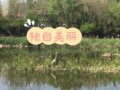 -前关湿地公园