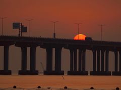 -宝安西湾红树林湿地公园