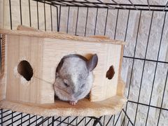 -平行世界·猫咖(首经贸店)