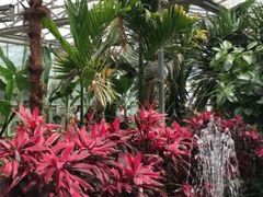 -呀路古热带植物园