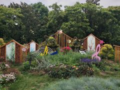 -上海共青森林公园