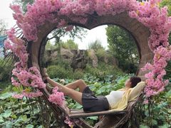 -沂蒙云瀑洞天景区